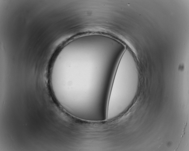 X0000103250979200808281052