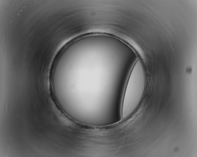 X0000103250980200808281052