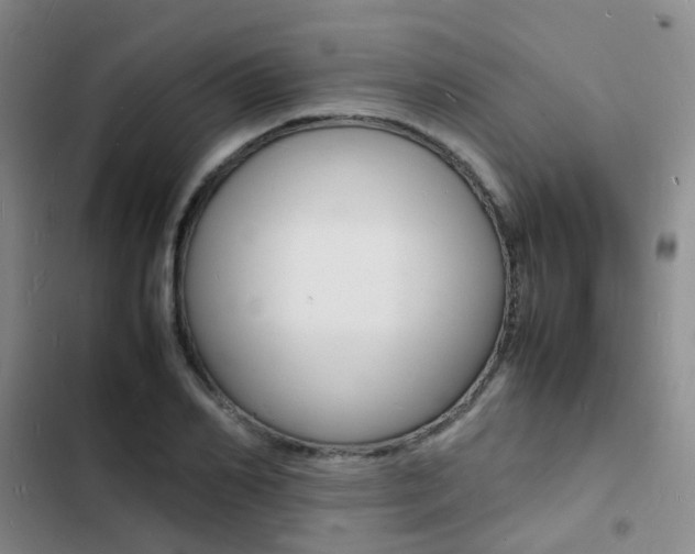 X0000103250982200808281052