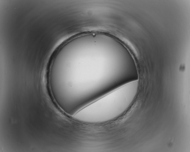 X0000103250983200808281052