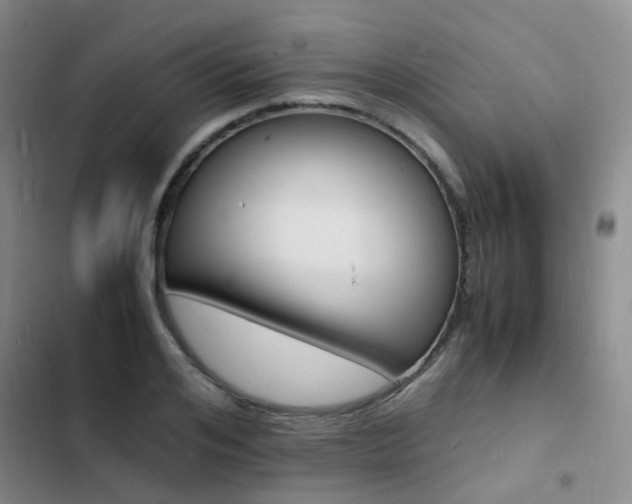 X0000103250984200808281052