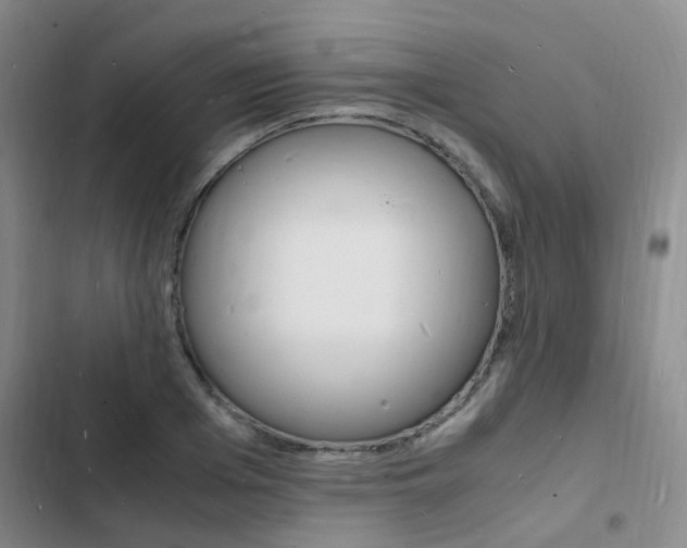 X0000103250985200808281052