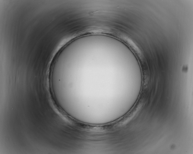 X0000103250986200808281052