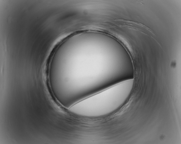 X0000103250987200808281052