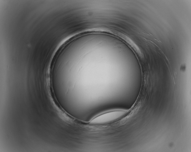 X0000103250988200808281052