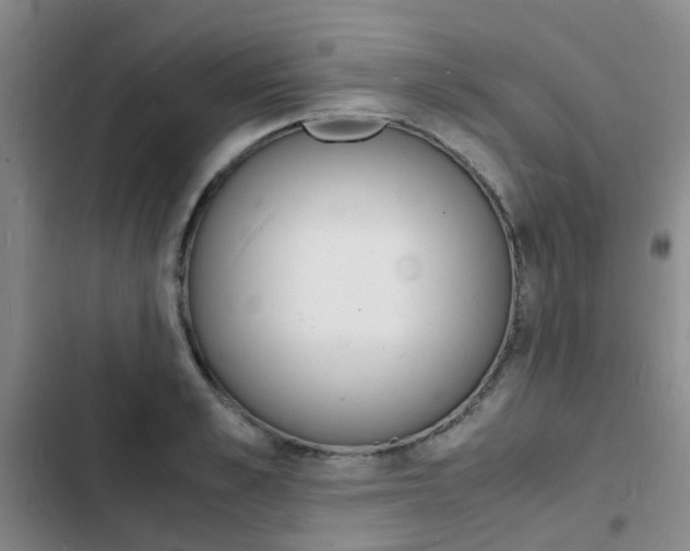 X0000103250989200808281052