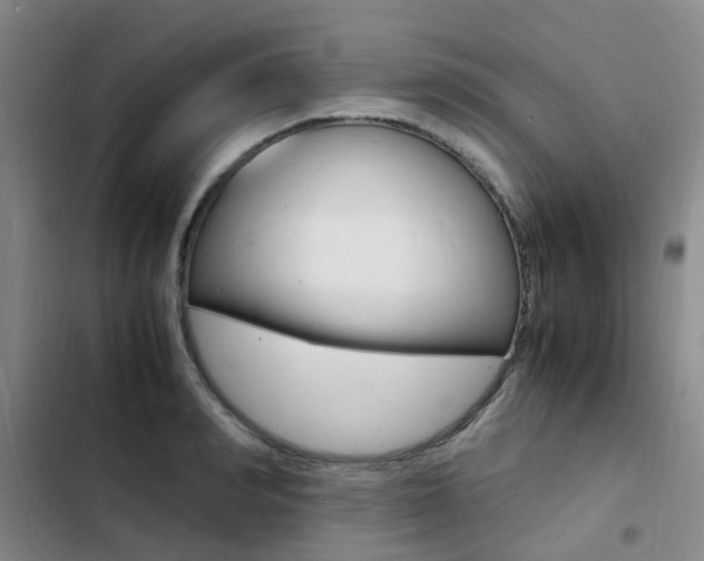 X0000103250990200808281052