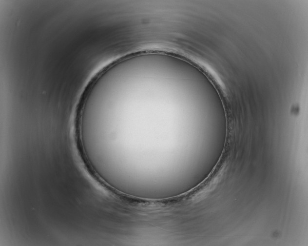 X0000103250991200808281052