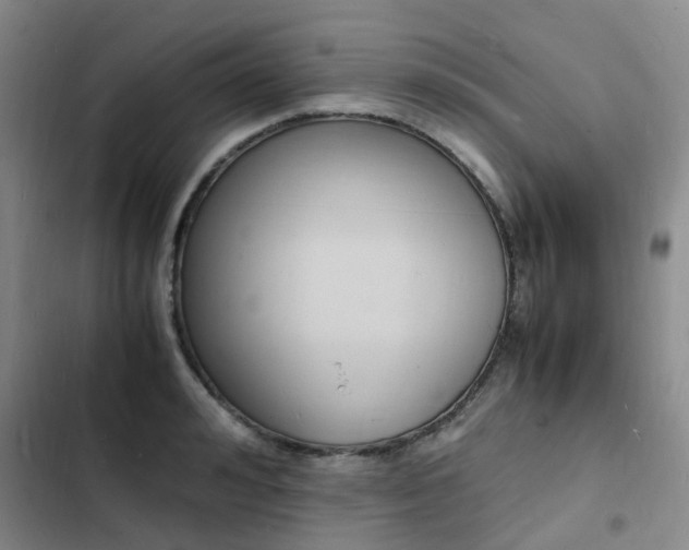 X0000103250992200808281052