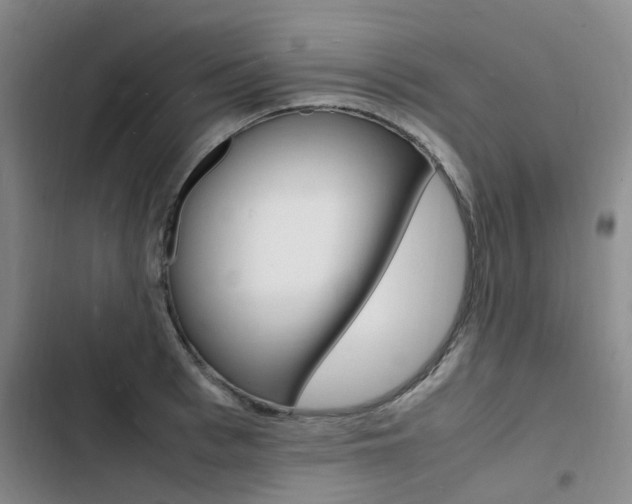 X0000103250993200808281052