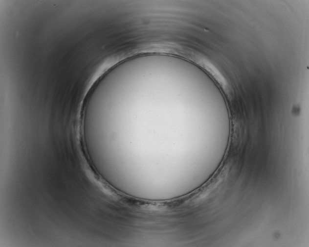 X0000103250994200808281052