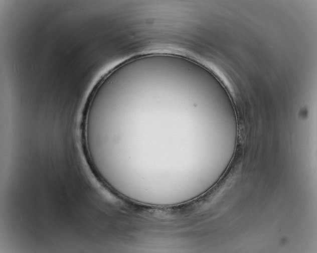 X0000103250995200808281052
