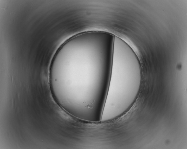 X0000103250996200808281052