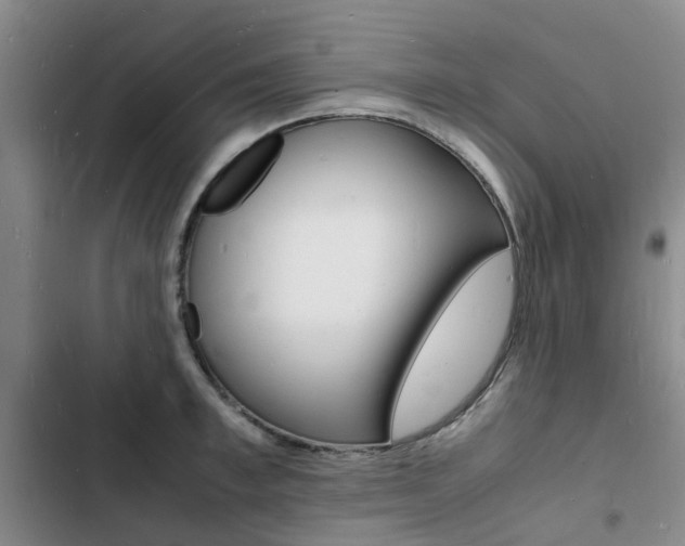 X0000103250997200808281052