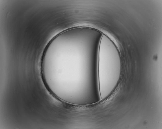 X0000103250999200808281052
