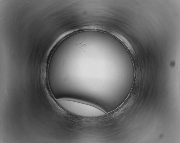 X0000103251000200808281052