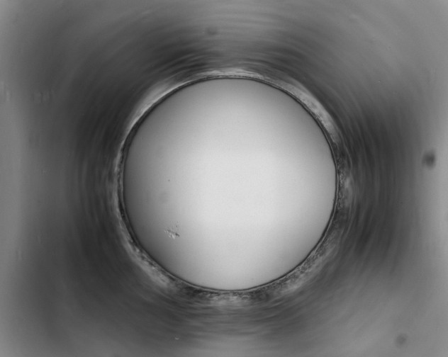 X0000103251002200808281052