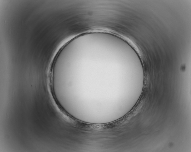 X0000103251003200808281052