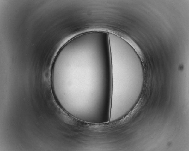 X0000103251004200808281052