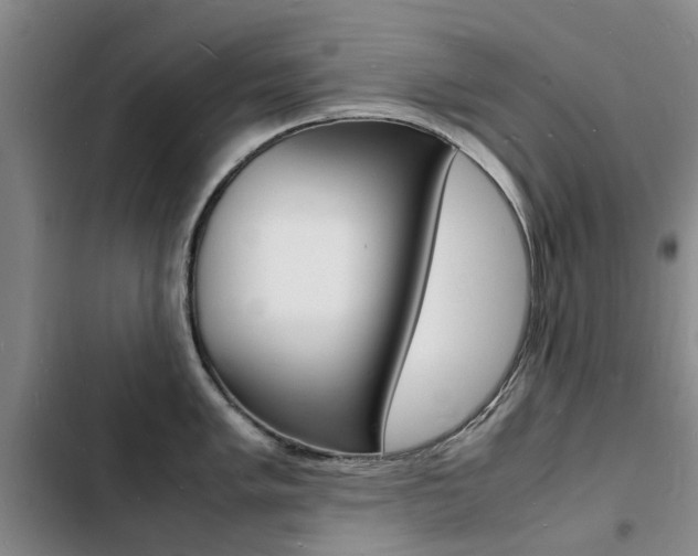 X0000103251005200808281052