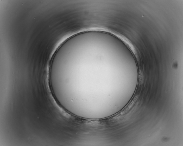 X0000103251006200808281052