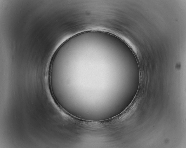 X0000103251007200808281052