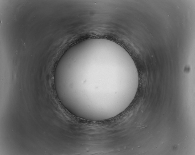 X0000103251009200808281051