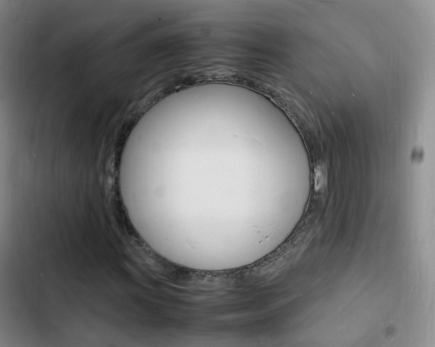 X0000103251011200808281051