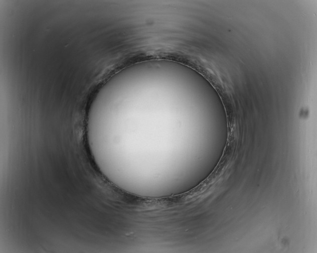 X0000103251012200808281051