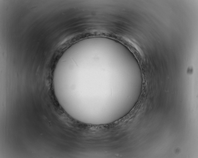 X0000103251015200808281051