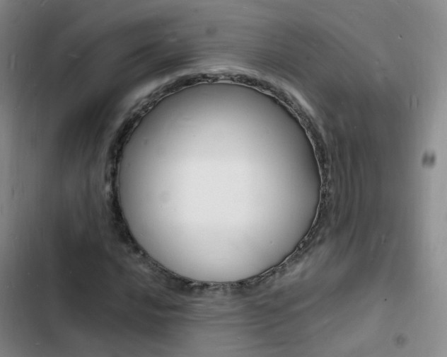X0000103251016200808281051