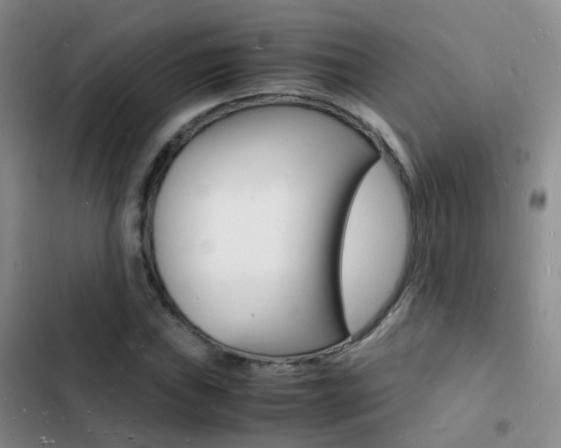 X0000103251019200808281051