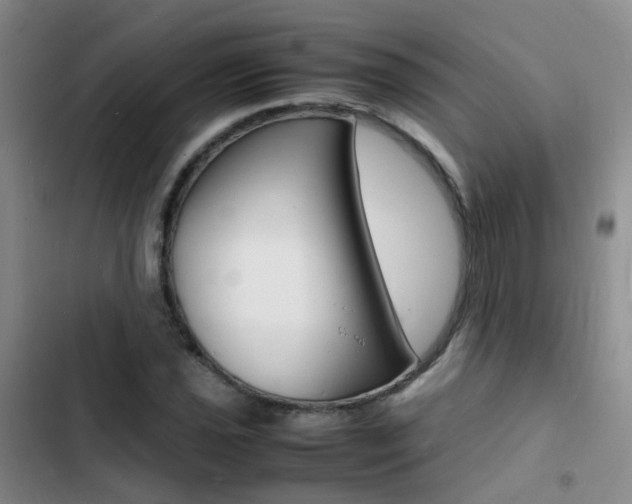X0000103251021200808281051