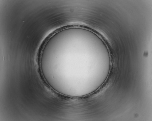 X0000103251022200808281051