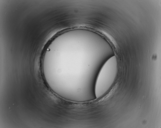 X0000103251023200808281051