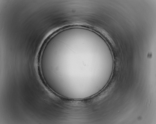 X0000103251024200808281051