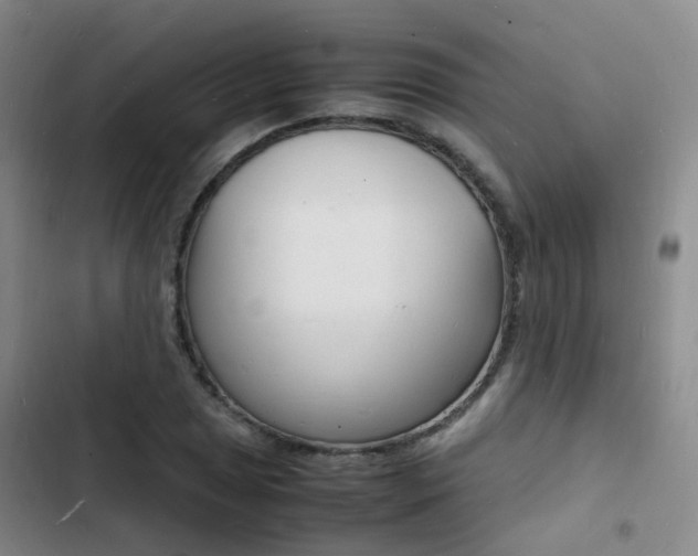X0000103251025200808281051