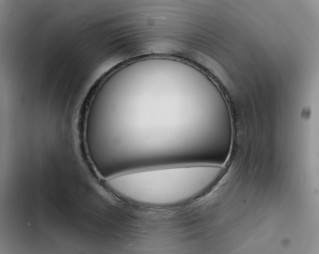 X0000103251026200808281051