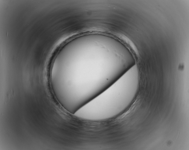 X0000103251027200808281052
