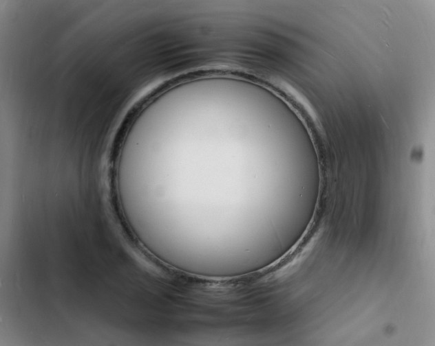 X0000103251029200808281052
