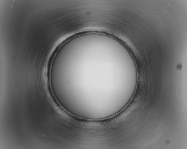 X0000103251030200808281052