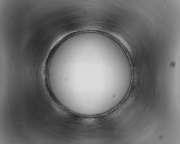 X0000103251031200808281052