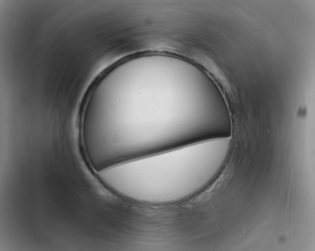 X0000103251032200808281052