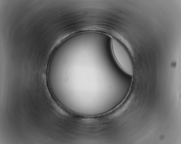X0000103251033200808281052