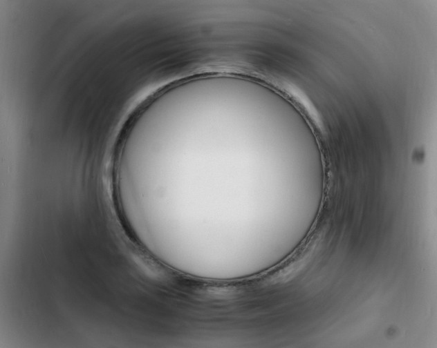 X0000103251035200808281052