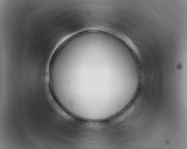 X0000103251036200808281052