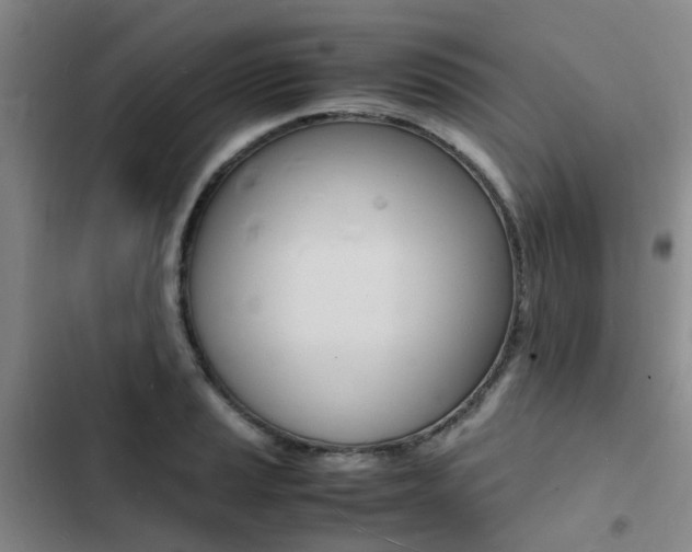 X0000103251037200808281052