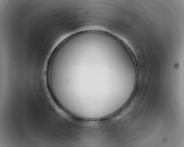 X0000103251038200808281052