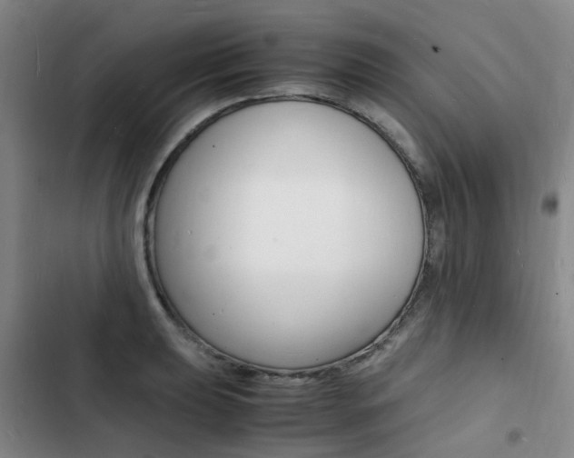 X0000103251039200808281052
