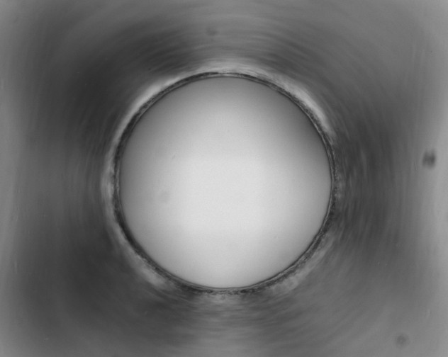 X0000103251040200808281052